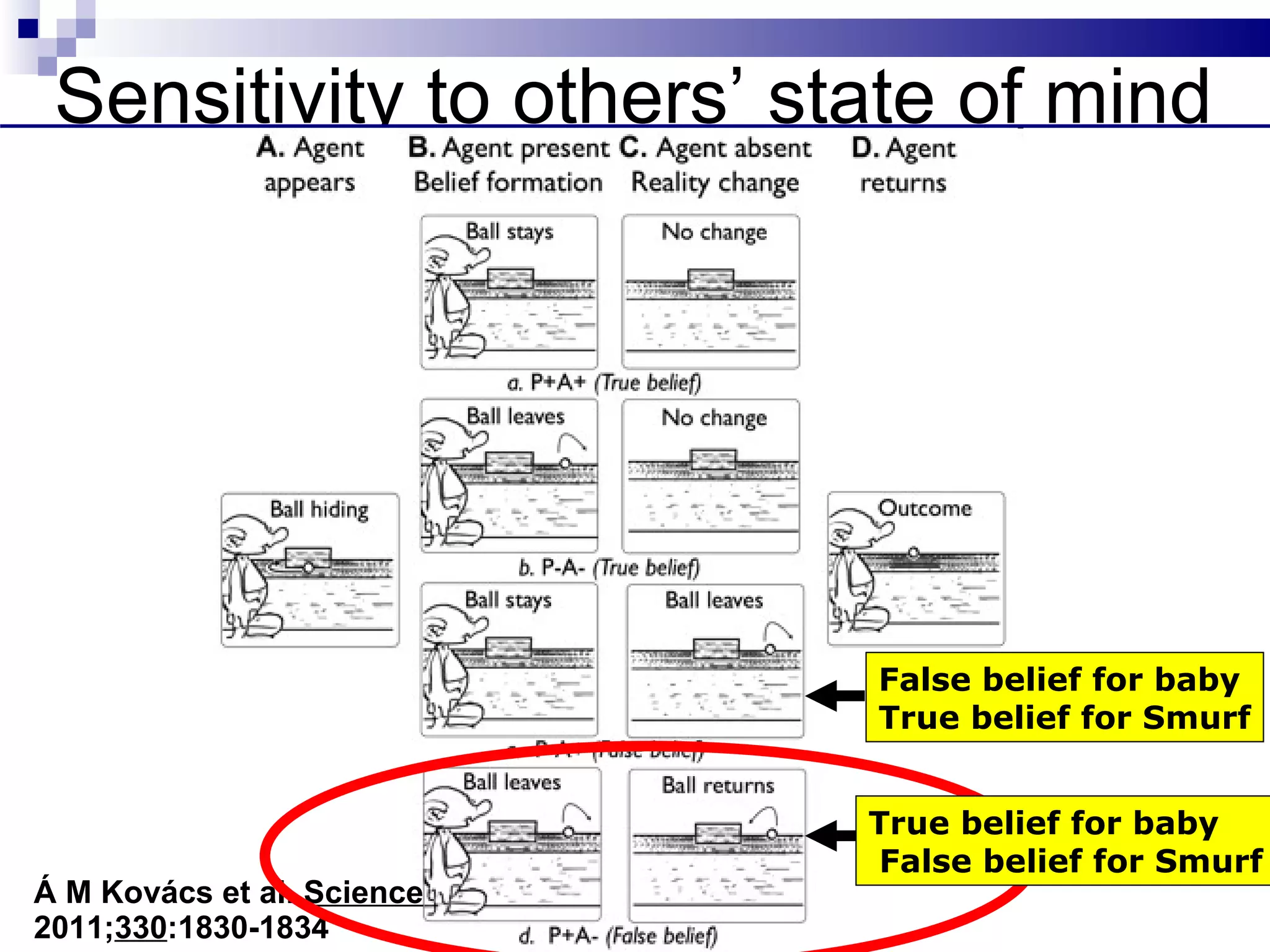 Sensitivity to others’ state of mind




                            False belief for baby
                            True belief for Smurf


                            True belief for baby
                            False belief for Smurf
Á M Kovács et al. Science
2011;330:1830-1834
 