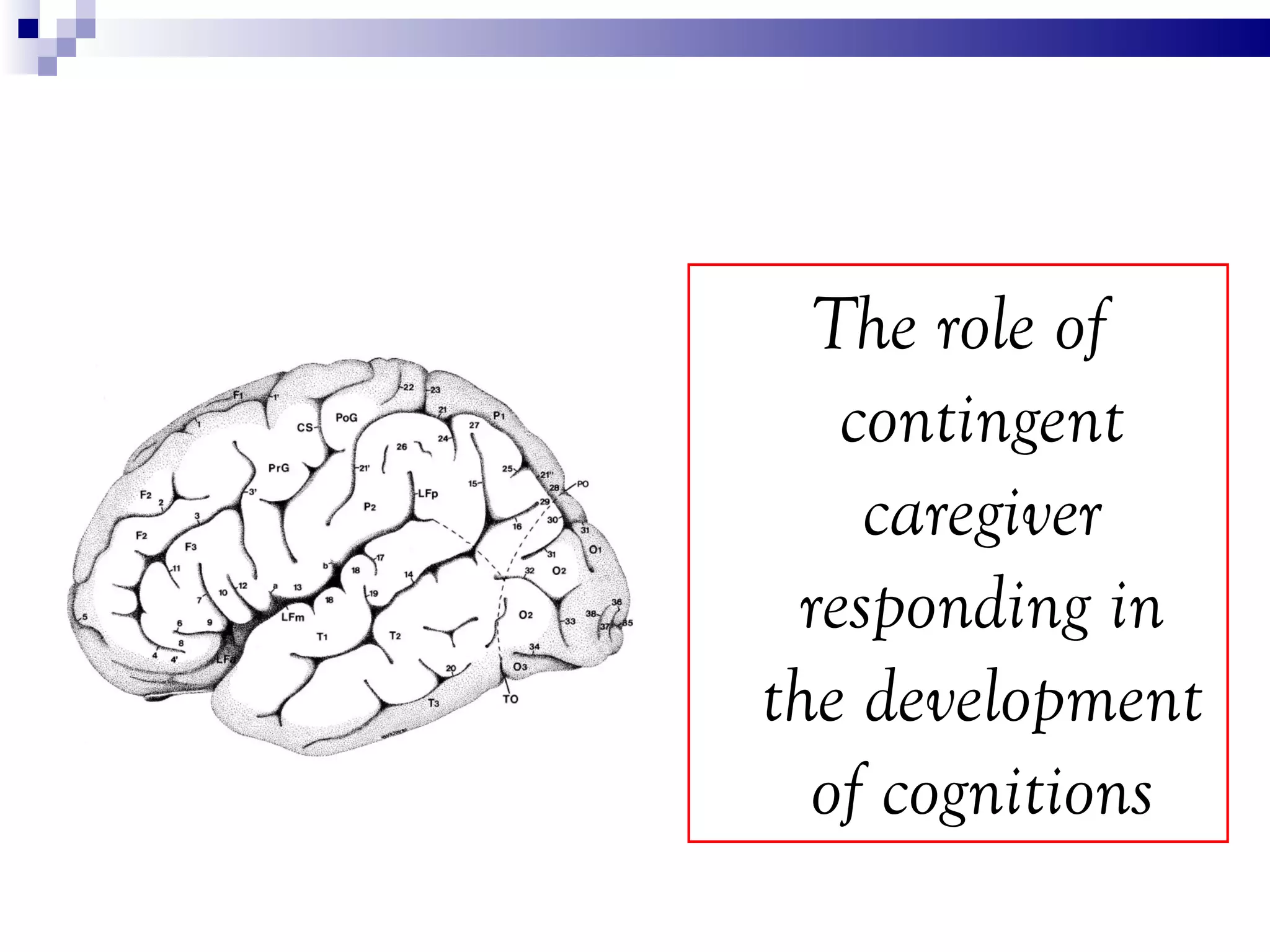 The role of
   contingent
    caregiver
 responding in
the development
  of cognitions
 