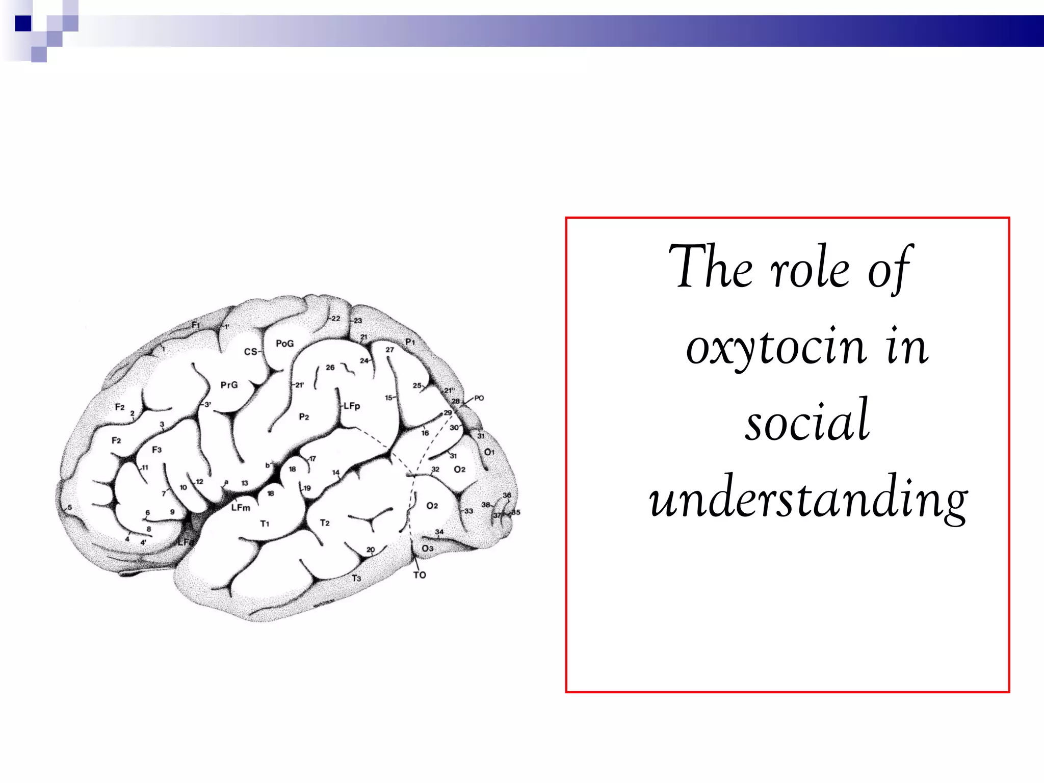 The role of
  oxytocin in
    social
understanding
 