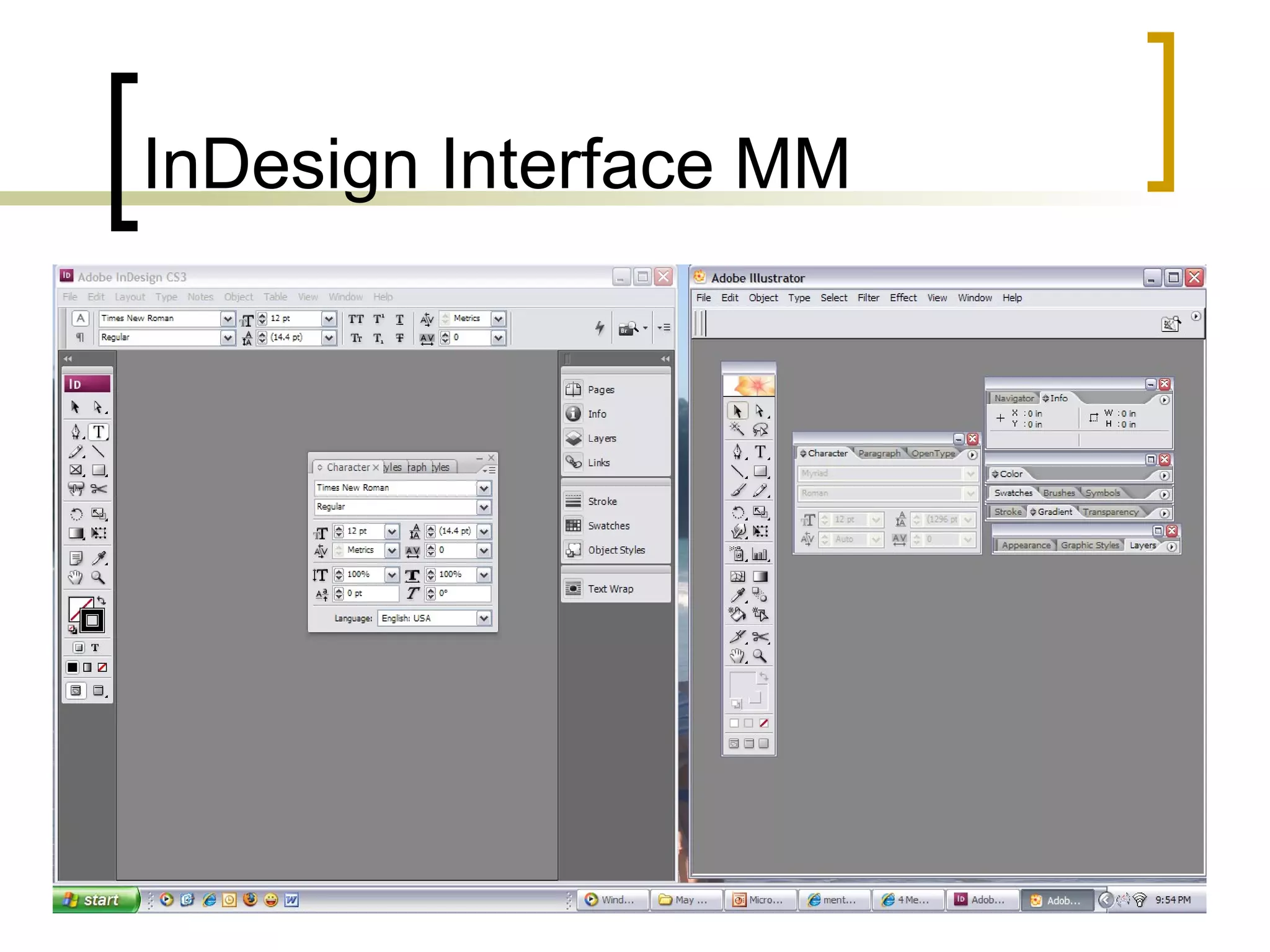 InDesign Interface MM 