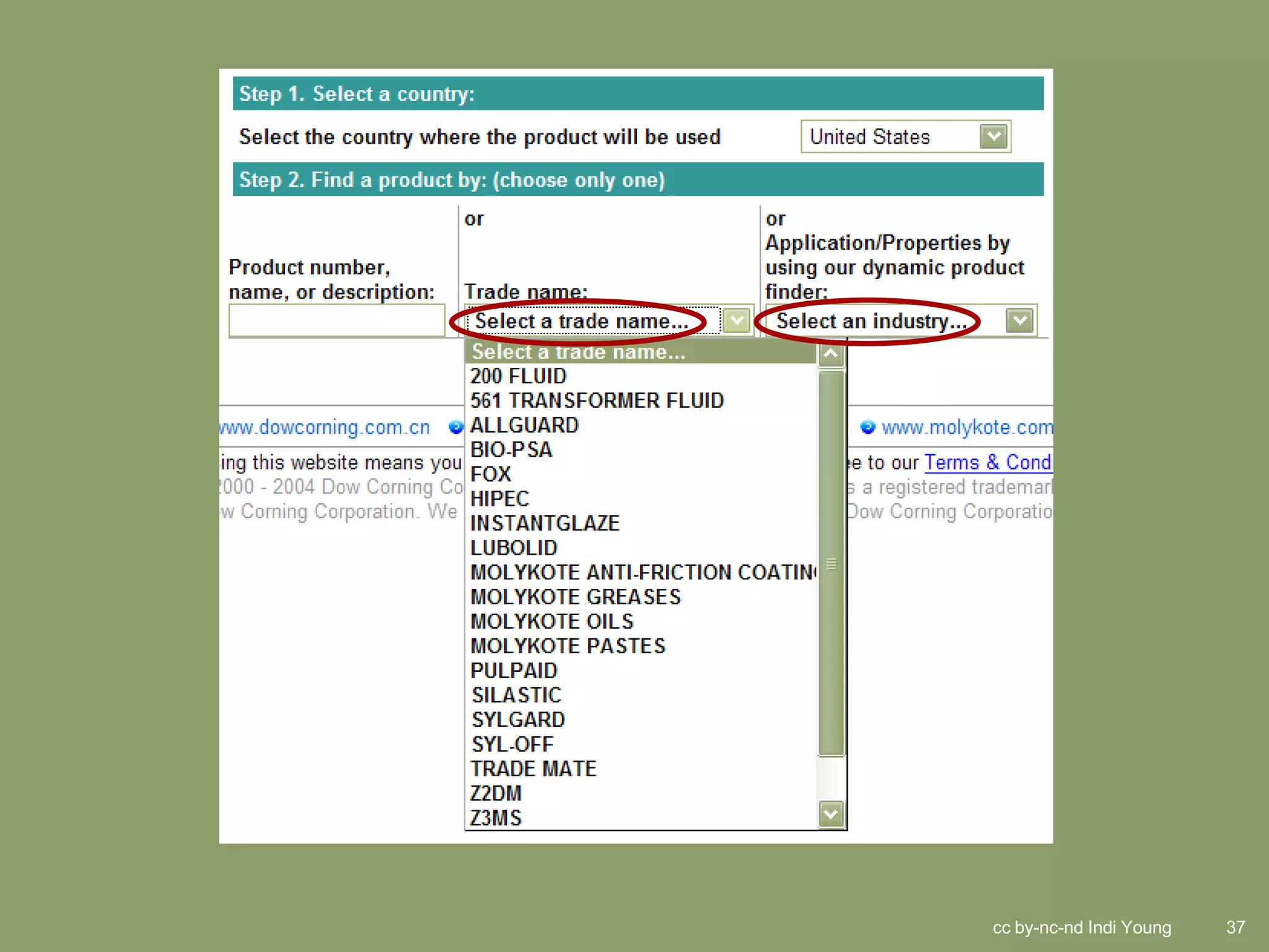 cc by-nc-nd Indi Young   37
 