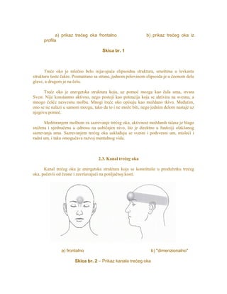 a) prikaz trećeg oka frontalno b) prikaz trećeg oka iz
profila
Skica br. 1
Treće oko je mlečno belo isijavajuća elipsoidna struktura, smeštena u levkastu
strukturu šeste čakre. Posmatrano sa strane, jednom polovinom elipsoida je u čeonom delu
glave, a drugom je na čelu.
Treće oko je energetska struktura koju, uz pomoć mozga kao čula uma, stvara
Svest. Nije konstantno aktivno, nego postoji kao potencija koja se aktivira na svesnu, a
mnogo češće nesvesnu molbu. Mnogi treće oko opisuju kao moždano tkivo. Međutim,
ono se ne nalazi u samom mozgu, tako da to i ne može biti, nego jednim delom nastaje uz
njegovu pomoć.
Meditiranjem molbom za sazrevanje trećeg oka, aktivnost moždanih talasa je blago
snižena i ujednačena u odnosu na uobičajen nivo, što je direktno u funkciji olakšanog
sazrevanja uma. Sazrevanjem trećeg oka usklađuju se svesni i podsvesni um, misleći i
radni um, i tako omogućava razvoj mentalnog vida.
2.3. Kanal trećeg oka
Kanal trećeg oka je energetska struktura koja se konstituiše u produžetku trećeg
oka, počevši od čeone i završavajući na potiljačnoj kosti.
a) frontalno b) "dimenzionalno"
Skica br. 2 – Prikaz kanala trećeg oka
 