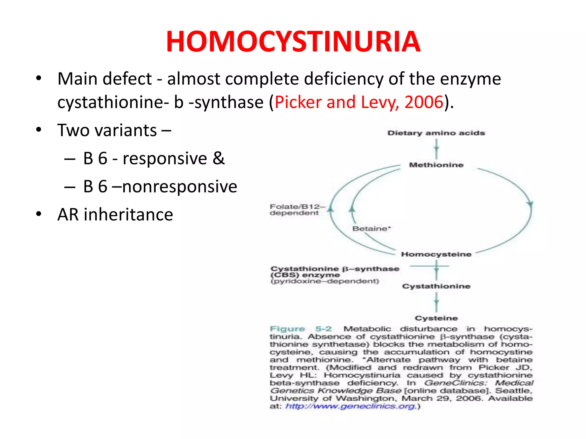 • Main defect - almost complete deficiency of the enzyme
cystathionine- b -synthase (Picker and Levy, 2006).
• Two variants –
– B 6 - responsive &
– B 6 –nonresponsive
• AR inheritance
HOMOCYSTINURIA
 