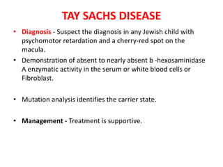 TAY SACHS DISEASE
• Diagnosis - Suspect the diagnosis in any Jewish child with
psychomotor retardation and a cherry-red spot on the
macula.
• Demonstration of absent to nearly absent b -hexosaminidase
A enzymatic activity in the serum or white blood cells or
Fibroblast.
• Mutation analysis identifies the carrier state.
• Management - Treatment is supportive.
 