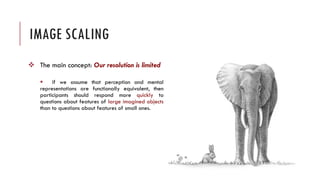 Mental representation | PDF
