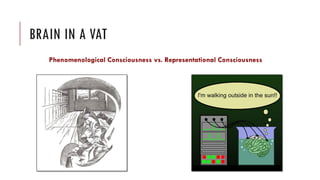 Mental representation | PDF