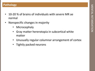 Pathology
• 10-20 % of brains of individuals with severe MR ae
normal
• Nonspecific changes in majority
• Microcephaly
• Gray matter hererotopia in subcortical white
matter
• Unusually regular columnar arrangement of cortex
• Tightly packed neurons
MENTALRETARDATION
 