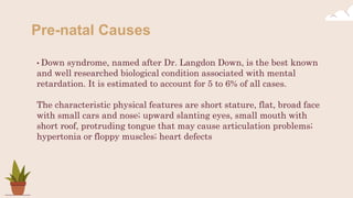 Pre-natal Causes
• Down syndrome, named after Dr. Langdon Down, is the best known
and well researched biological condition associated with mental
retardation. It is estimated to account for 5 to 6% of all cases.
The characteristic physical features are short stature, flat, broad face
with small cars and nose; upward slanting eyes, small mouth with
short roof, protruding tongue that may cause articulation problems;
hypertonia or floppy muscles; heart defects
 