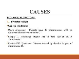 CAUSES
BIOLOGICAL FACTORS:
1. Prenatal causes:
Genetic Syndromes
-Down Syndrome: Patients have 47 chromosomes with an
additional chromosome number 21.
-Fragile X Syndrome: Fragile site in band q27-28 on X
chromosome.
-Prader-Willi Syndrome: Disorder caused by deletion in part of
chromosome 15.
 