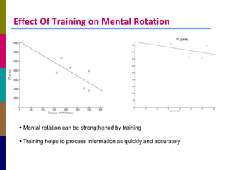 Effect Of Training on Mental Rotation
                                                                10 pairs




  Mental rotation can be strengthened by training

  Training helps to process information as quickly and accurately
 