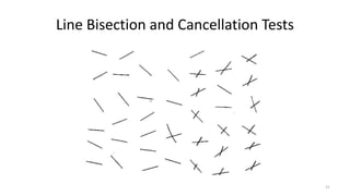 Line Bisection and Cancellation Tests
21
 