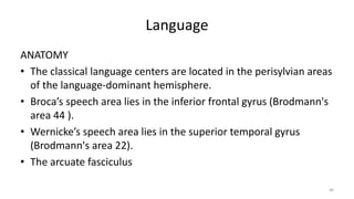 Language
ANATOMY
• The classical language centers are located in the perisylvian areas
of the language-dominant hemisphere.
• Broca’s speech area lies in the inferior frontal gyrus (Brodmann's
area 44 ).
• Wernicke’s speech area lies in the superior temporal gyrus
(Brodmann's area 22).
• The arcuate fasciculus
40
 
