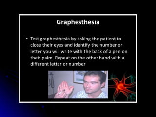 Mental status examination