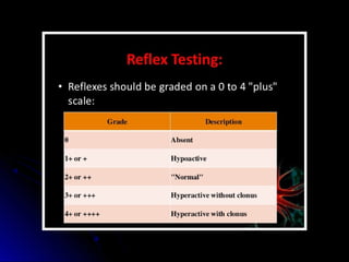 Mental status examination