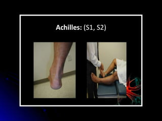 Mental status examination