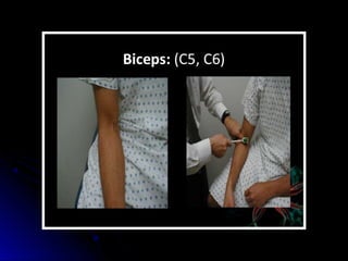 Mental status examination