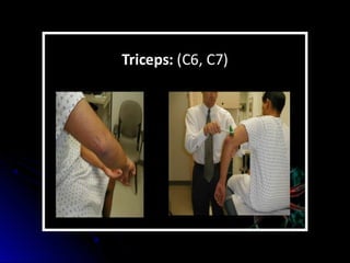 Mental status examination