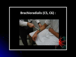 Mental status examination