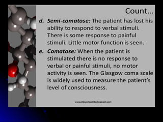 Mental status examination