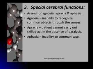 Mental status examination