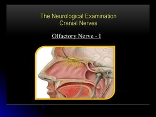 Mental status examination