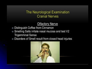 Mental status examination