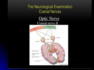 Mental status examination