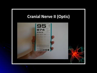 Mental status examination