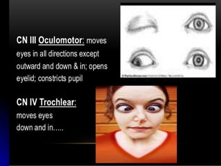 Mental status examination