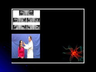 Mental status examination