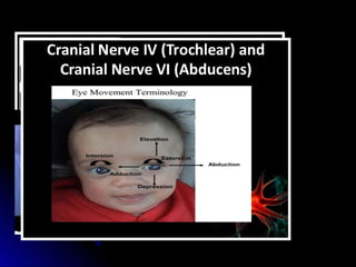 Mental status examination