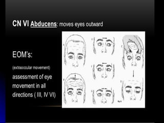 Mental status examination