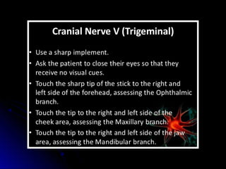 Mental status examination