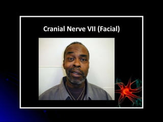 Mental status examination