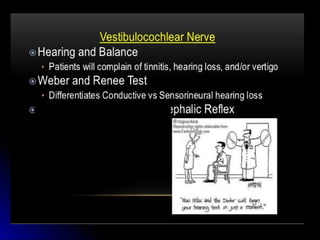 Mental status examination