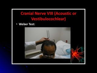 Mental status examination