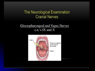 Mental status examination