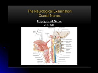 Mental status examination