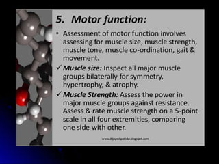 Mental status examination