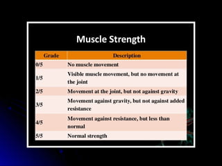 Mental status examination