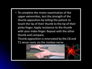 Mental status examination