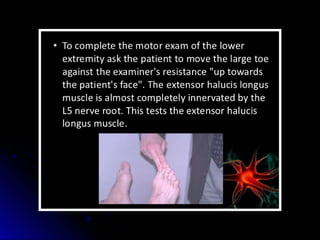 Mental status examination