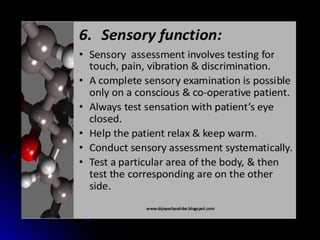Mental status examination