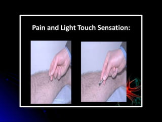 Mental status examination