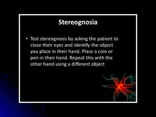 Mental status examination