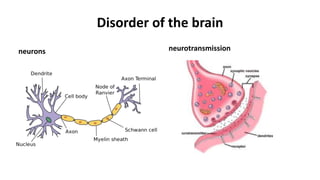 Disorder of the brain
neurotransmission
neurons
 