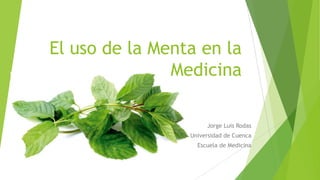 El uso de la Menta en la
Medicina
Jorge Luis Rodas
Universidad de Cuenca
Escuela de Medicina

 