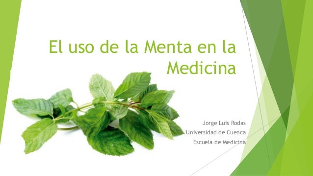 Menta Planta Medicinal