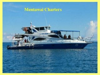 Mentawai Charters
 