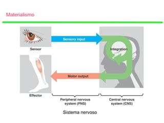 Materialismo
Sistema nervoso
 